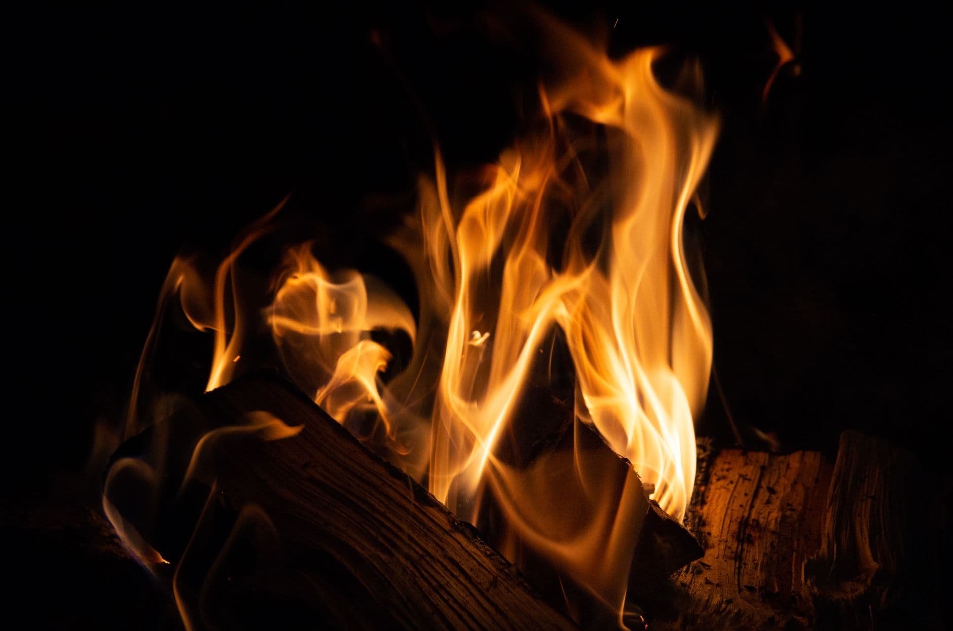 Close-up of a campfire showcasing dancing flames and glowing firewood at night.